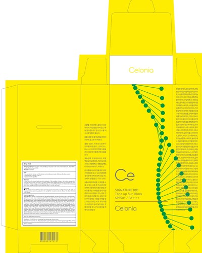 Image Of Carton (Block Carton)